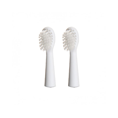 Toothbrush Replacement Brush Heads|Tête de brosse à Dents de Recharge